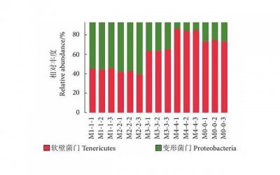 ​全职妈妈离婚补偿标准（全职妈妈离婚补偿费是多少）