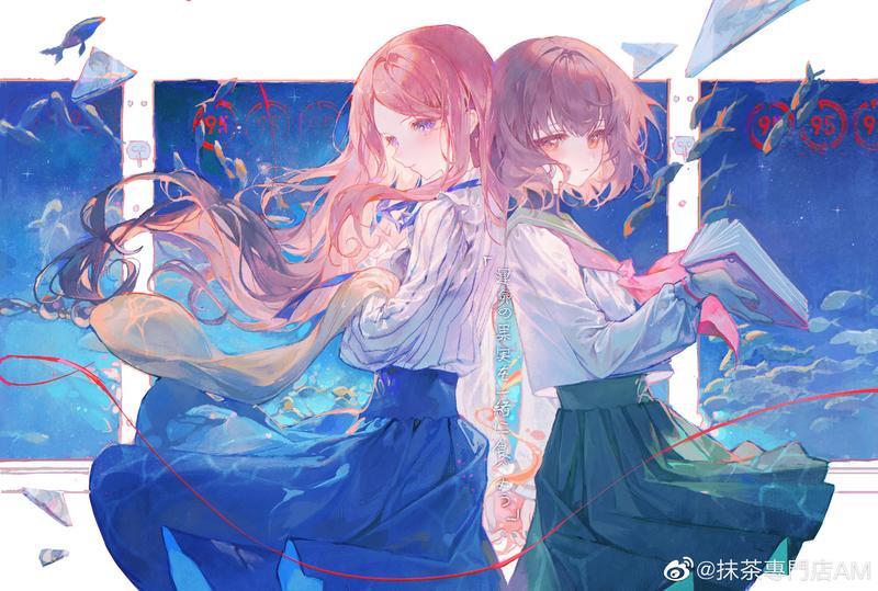 二婚想离婚如何办