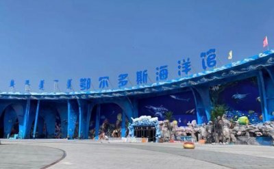 ​还免费，鄂尔多斯海洋世界刷爆朋友圈，零距离接触海洋精灵