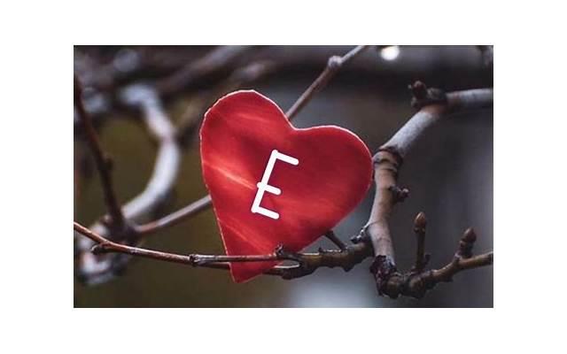 摩羯男真正喜欢的类型「摩羯座喜欢的异性类型」