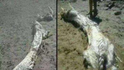 ​这些男女为什么身处一室也擦不出火花