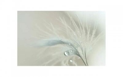 ​内向女生好追吗？追内向女生的技巧有什么？