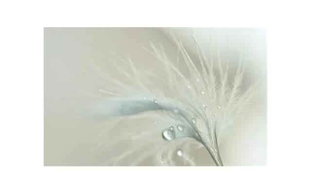 内向女生好追吗？追内向女生的技巧有什么？