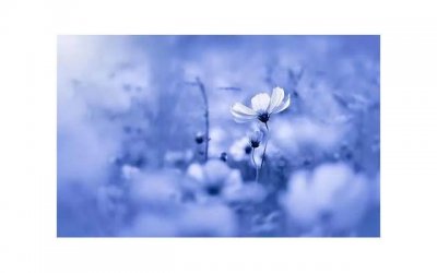 ​女生不删除不拉黑也不联系你是什么意思（女生不删除不拉黑也不联系的意思）