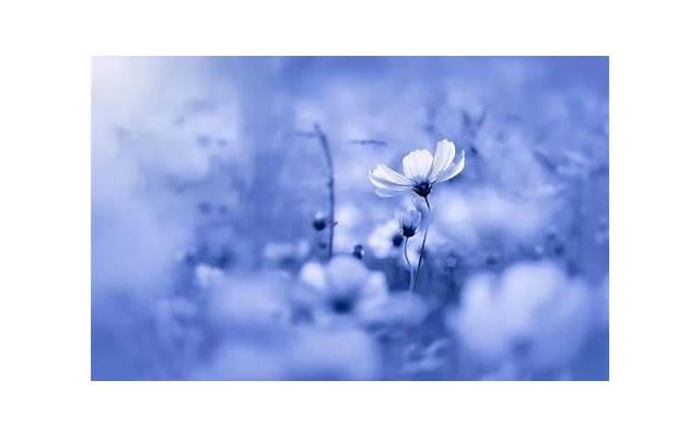 女生不删除不拉黑也不联系你是什么意思（女生不删除不拉黑也不联系的意思）