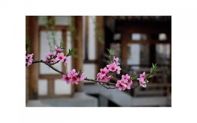 ​女生问你是谁怎么回答 可以采取不同的回答