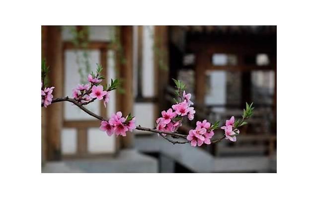 女生问你是谁怎么回答 可以采取不同的回答