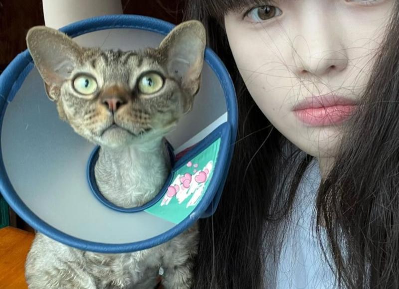 天蝎座的女生怎么追 天蝎女的性格有哪些特点 天蝎座的女生怎么追 天蝎女的性格有哪些特点