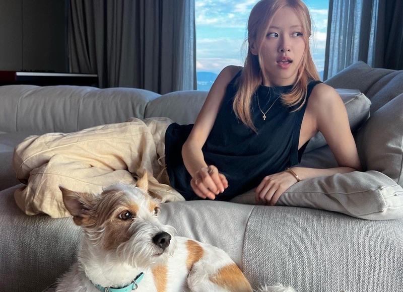 追狮子座女生的8个技巧(追狮子座女孩最好的方法) 追狮子座女生的8个技巧(追狮子座女孩最好的方法)