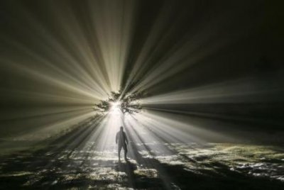 ​百慕大三角不明飞行物 百慕大三角里面有什么物种