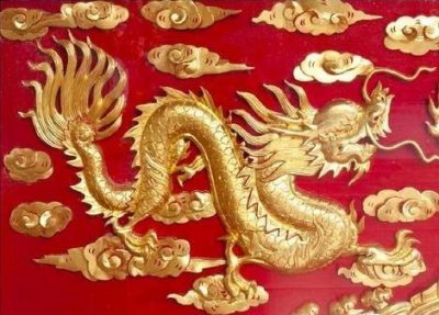 ​营口坠龙事件真相 照片上的骨骼究竟属于哪种动物