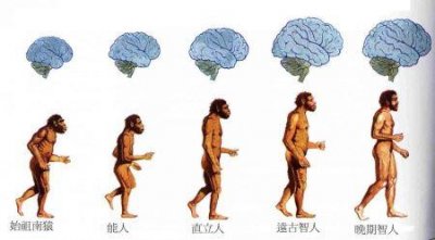​江南第一风流才子唐伯虎的悲剧
