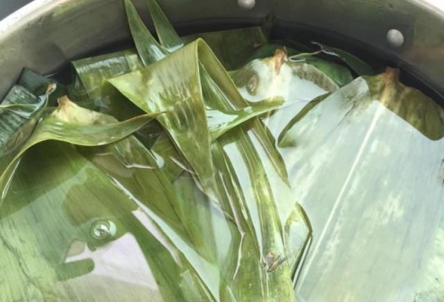 为什么有的粽叶煮出来还是绿色的