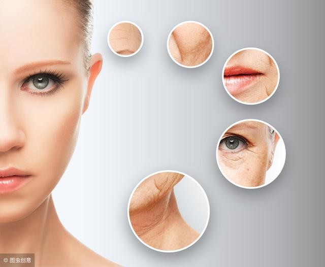 肌肤老化的三大凶手（肌肤老化像年轮）(8)