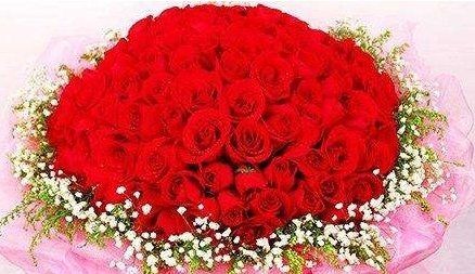 99朵玫瑰的含义,红玫瑰多少朵代表什么意思图3