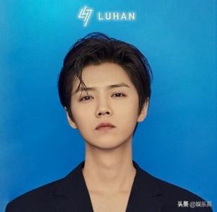 ​鹿晗重回巅峰之处（鹿晗成斯文败类）