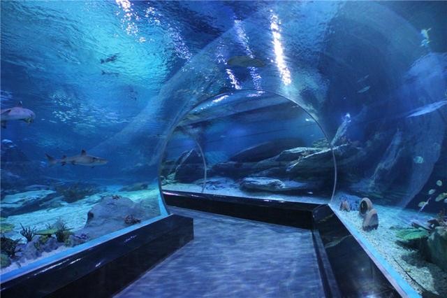 青岛市最值得去的景点是哪里（青岛五大景点不去是遗憾）(5)