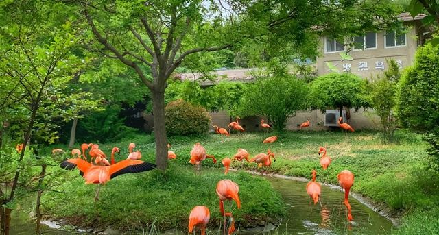 青岛市最值得去的景点是哪里（青岛五大景点不去是遗憾）(6)