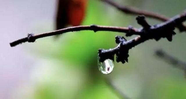 美到令人窒息的美文写真（美文美图无言书香）(2)