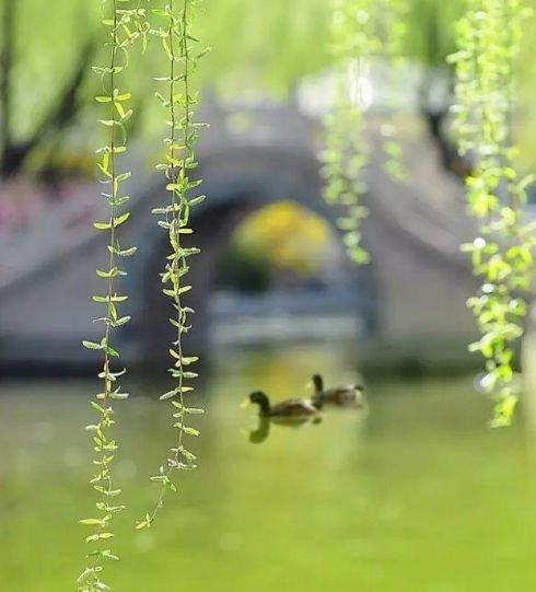 美到令人窒息的美文写真（美文美图无言书香）(8)