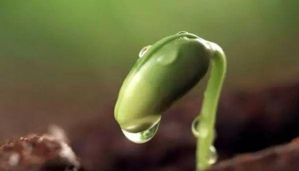 美到令人窒息的美文写真（美文美图无言书香）(5)