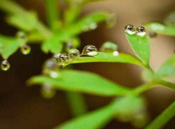 美到令人窒息的美文写真（美文美图无言书香）(3)