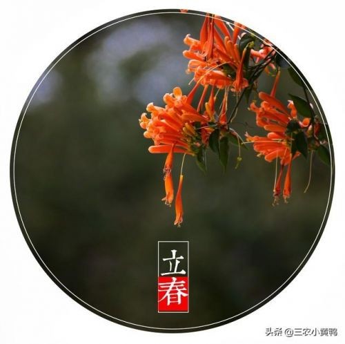 迎春打春姑娘为什么不能回娘家 回来也是给爹娘找麻烦-第2张图片-