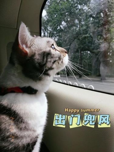 想和你一起吹吹风，想和你一起吹吹风是什么歌-第1张图片-