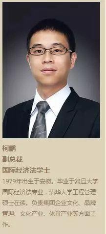 恒大有哪些高管离职了（恒大董事长两高管辞职）(4)