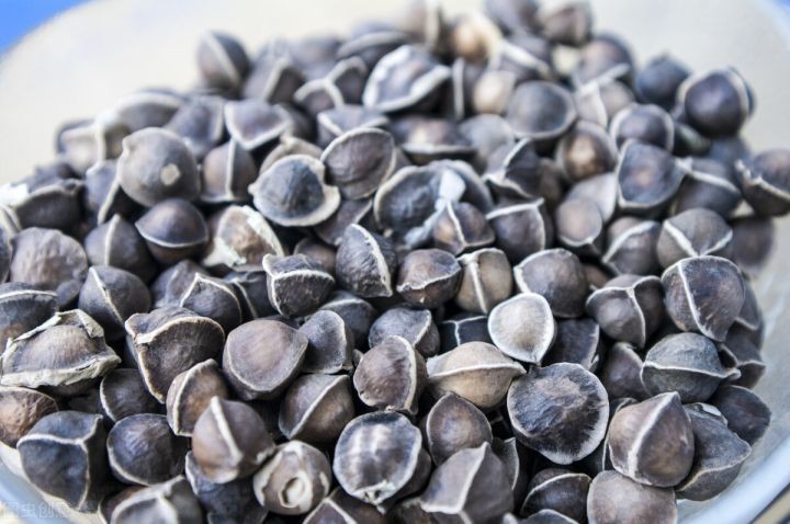 辣木籽味道代表什么（一文了解辣木籽的6种味道）