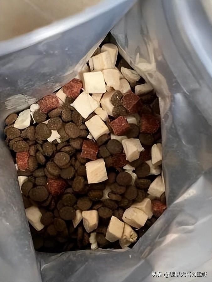 泰迪狗粮哪个牌子的品质好(泰迪狗粮推荐)