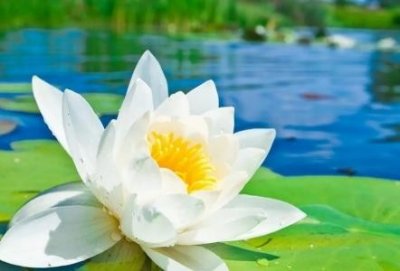 ​生育保险一般能报销多少钱 生育保险和医保合并了吗？