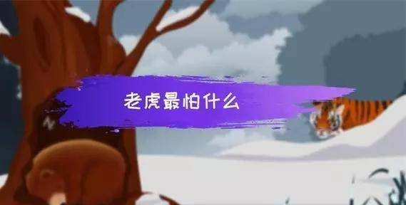 老虎最害怕什么,老虎最怕什么动物的屎图2