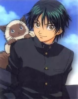 猫咪的百科知识（猫咪百科喜马拉雅猫）(4)