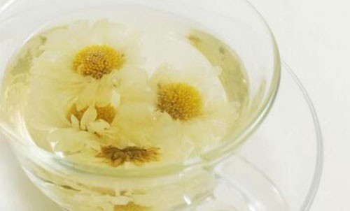 孕妇可以喝菊花茶吗 喝菊花茶的注意事项