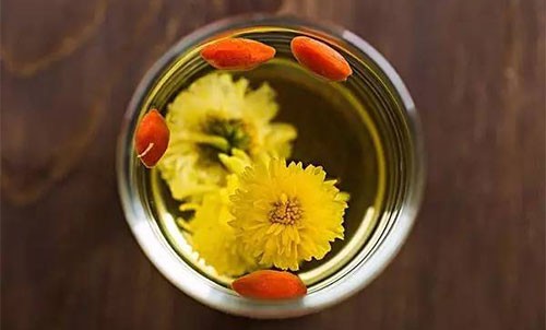 孕妇可以喝菊花茶吗 喝菊花茶的注意事项