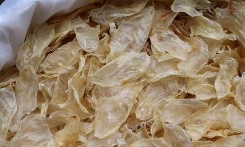 鱼胶用什么方法烘干比较