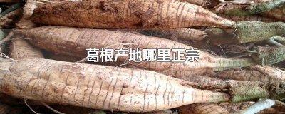 ​葛根产地哪里正宗