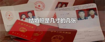 ​结婚照需要几张几寸的 结婚照是几寸?