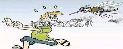 ​如何改善招蚊体质问题的方法 如何改善招蚊体质问题视频