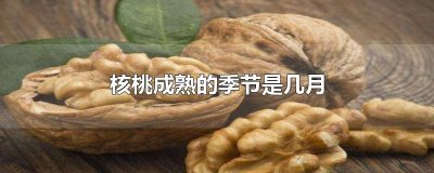 ​核桃成熟的季节是几月