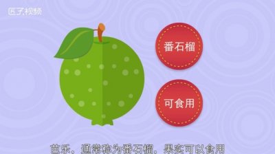 ​芭乐味道和什么类似