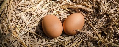 ​煮鸡蛋下热水锅还是冷水