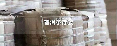 ​普洱茶存放