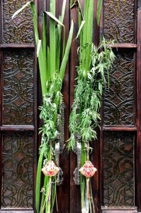 ​端午节挂的菖蒲、艾叶原来这么有学问，你一直挂对了吗？