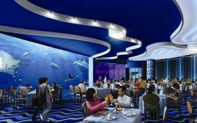 ​缤纷海世界——石家庄海洋馆