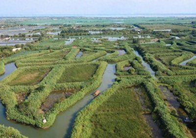 ​泗洪洪泽湖湿地景区门票价格，旅游攻略，交通路线
