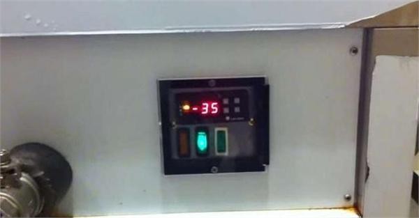 零下35度冷冻鱼能活吗(冷冻鱼解冻后竟然还能复活)(1)_