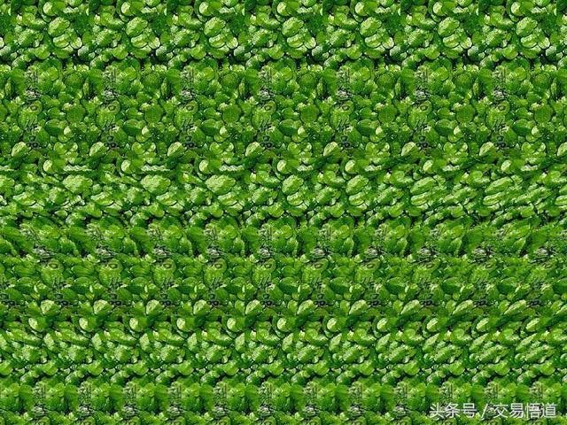 世界上最震撼的三维立体图(你能看的出几张)(3)