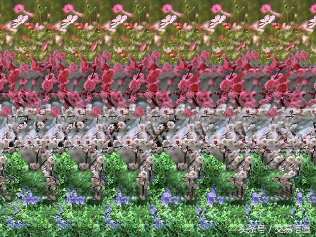 世界上最震撼的三维立体图(你能看的出几张)(2)